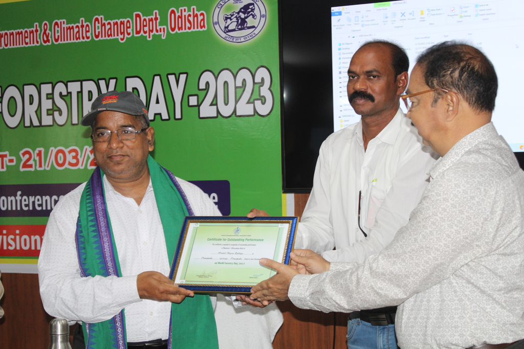 World forest day observation